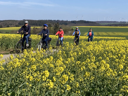 Cycling through rapeseed fields